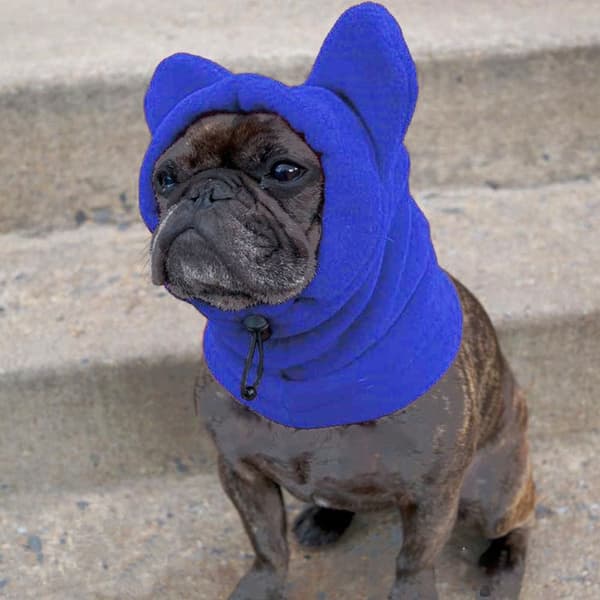Vintervarm Hundefleece Flagermushue BLÅ S blue S