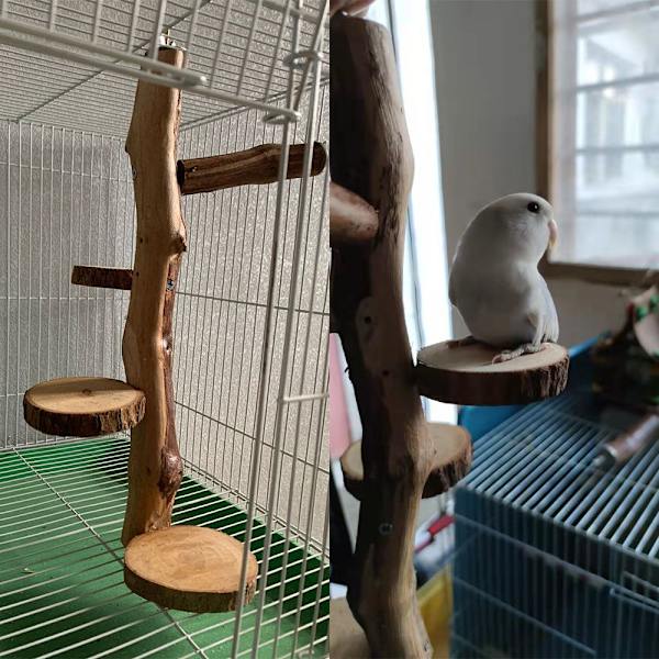 Bird Toy Parrot Stand Lintujen ahven alusta