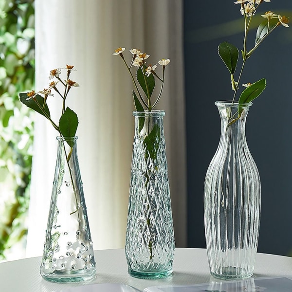 Glasvas Hydroponic Plant Vase E E E