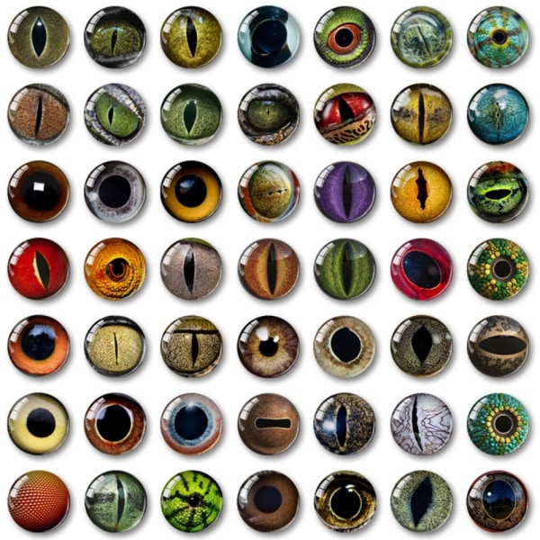 20 stk/10 par Eyes Crafts Eyes Puppet Crystal Eyes 6MM-FARVE 6mm-color random