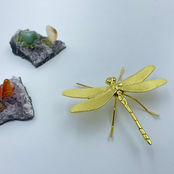 Dragonfly Ornament Simulering Dragonfly SILVER Silver