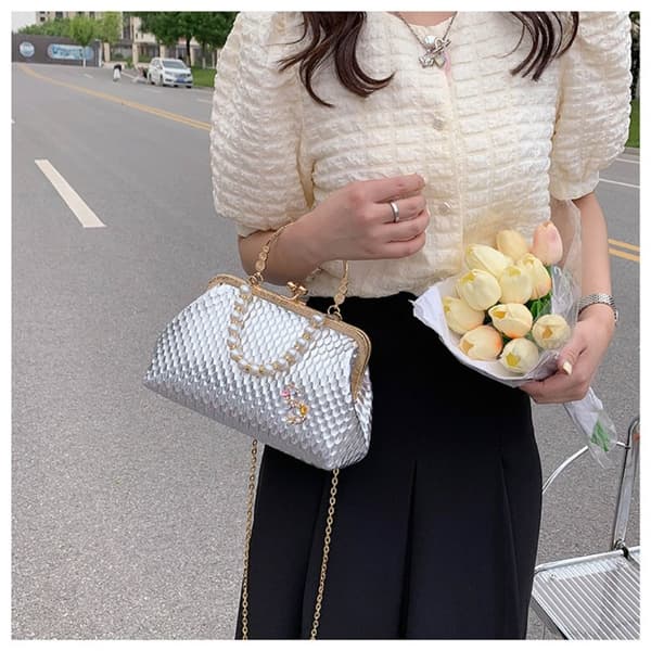 Skuldervesker Aften Clutch SØLV silver