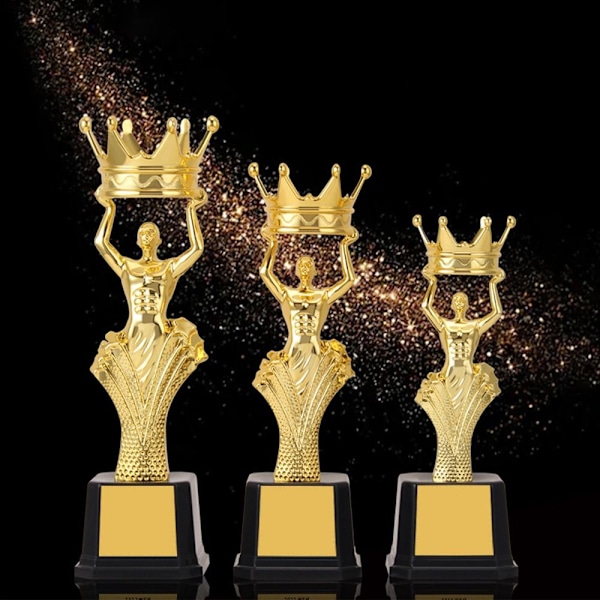 Award Trophy Reward Prize Cup 26,5cm 26.5cm