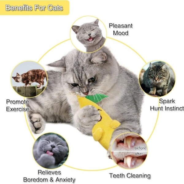 Catnip Toy Cat Chew Toys B B B