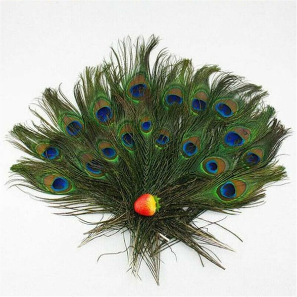 30 kpl Peacock Feather Natural Feather Tail