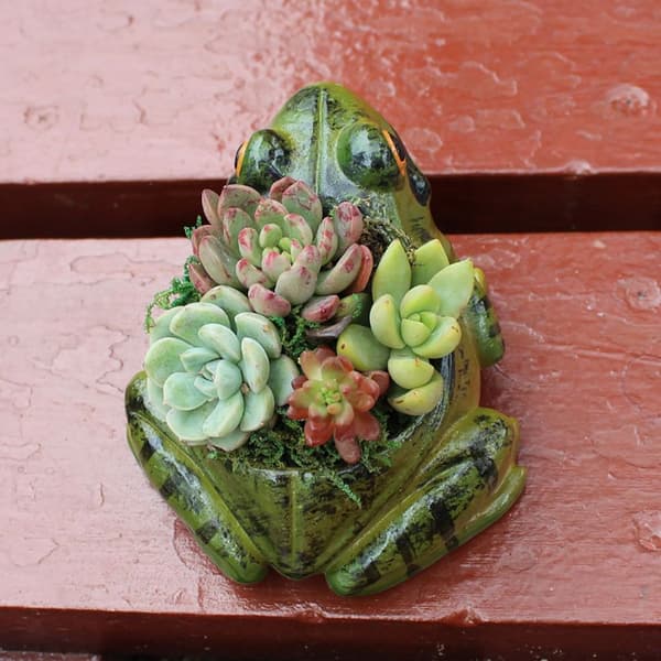 Blomkruka Planteringskärl