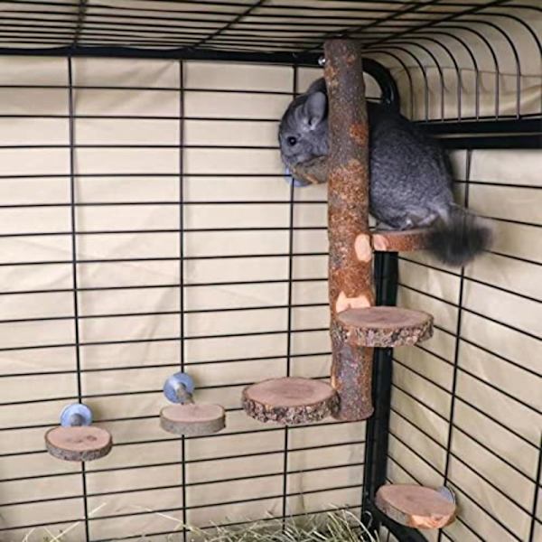 Bird Toy Parrot Stand Lintujen ahven alusta