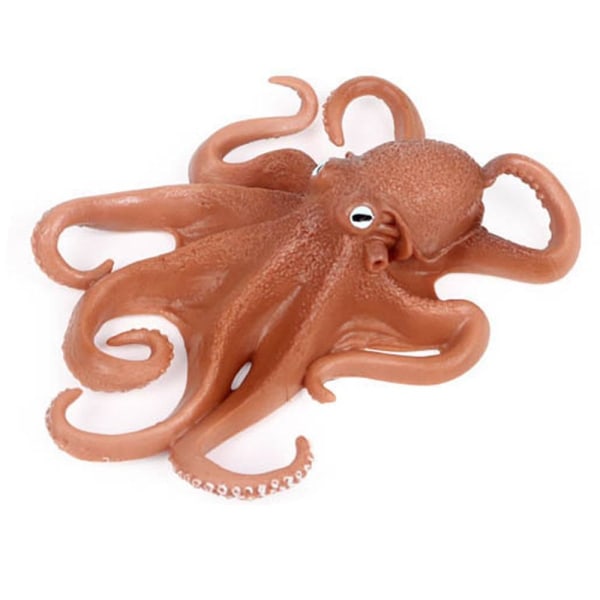 Marine Molluscs Model Simulation Squid Octopus 06 06 06