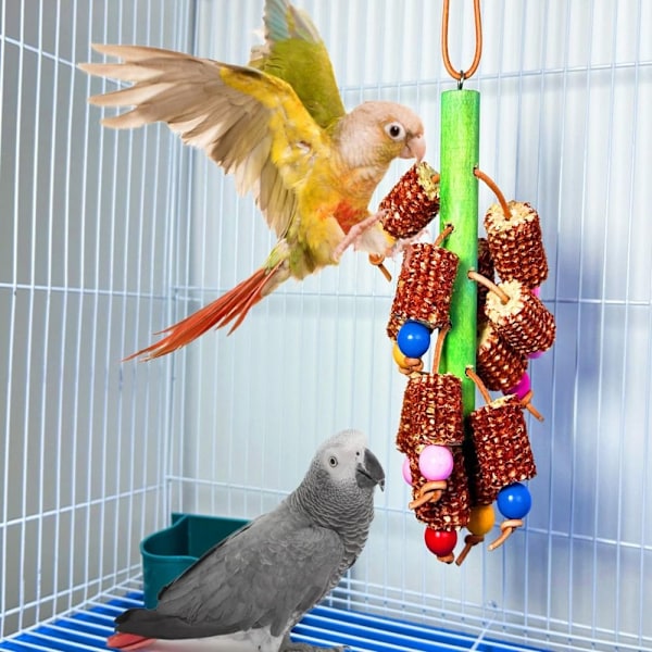 Bird Lelut Papukaija Chew Lelut Hampaiden hiontalelu