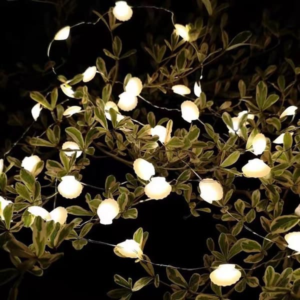 String Lights LED Lys MUSLINGESTIL MUSLINGESTIL Conch style