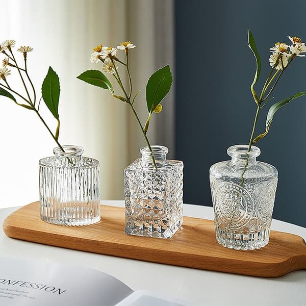 Glasvase Hydroponisk Plantevase D D D