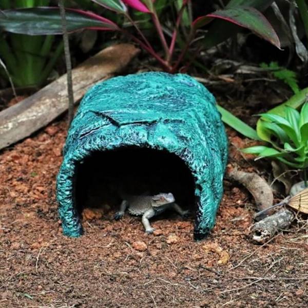 Akvarium Decor Hideout Huler Stone Cave Shelter Skjuler Skildpadde