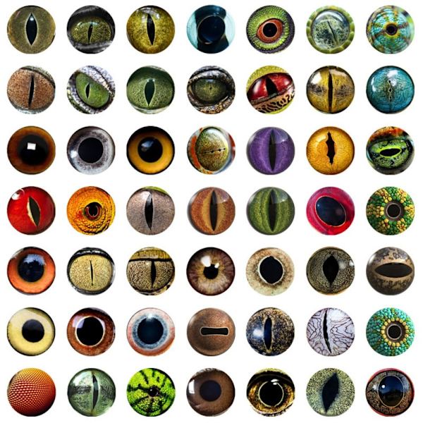 20st/10 par Eyes Crafts Eyes Puppet Crystal Eyes 16MMCOLOR 16mmcolor Random