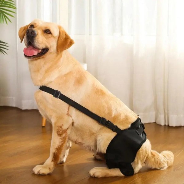 Pet Knee Pad Ben Protector SVART S black S