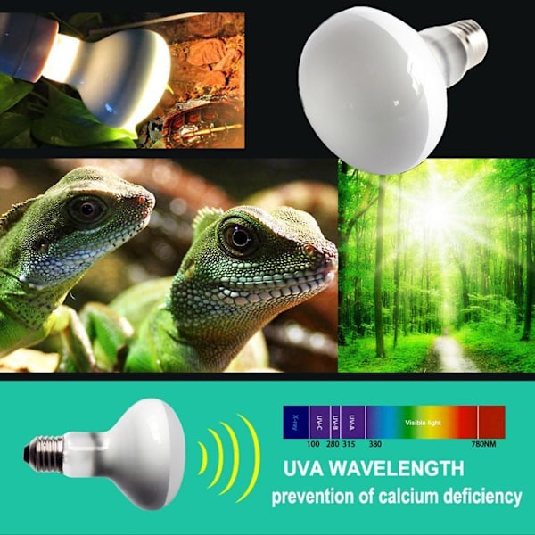 Lämpötilansäädin Matelijan lämmityslamppu 50W 50W 50W