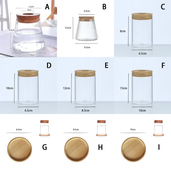 Hydroponisk Blomkruka Hem Glasvas G G G