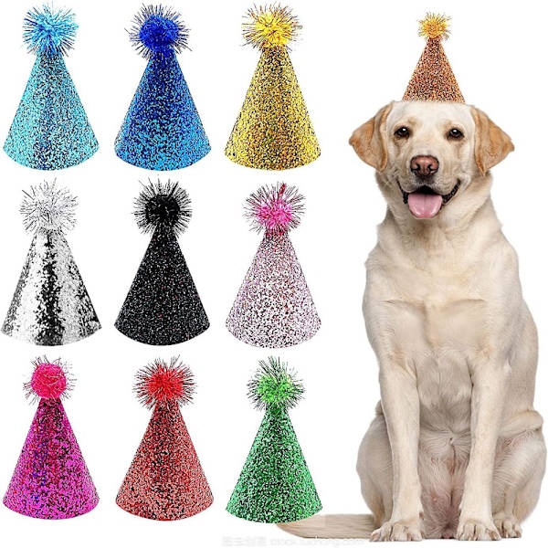 Födelsedag Hatt Set Pet Pannband Hattar 10ST SET 10ST SET 10pcs set
