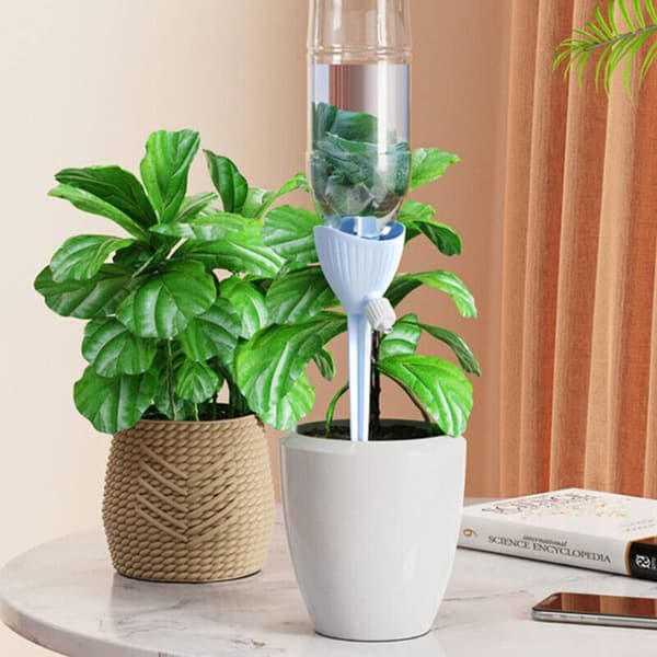 Selvvannende pigger for potteplanter HVIT white