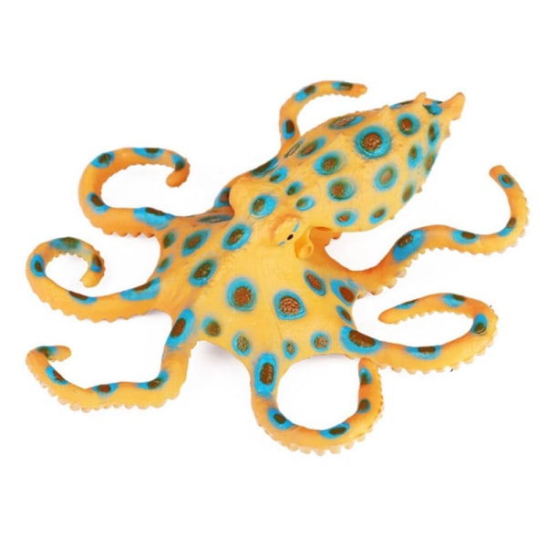 Marine Molluscs Model Simulation Squid Octopus 02 02 02