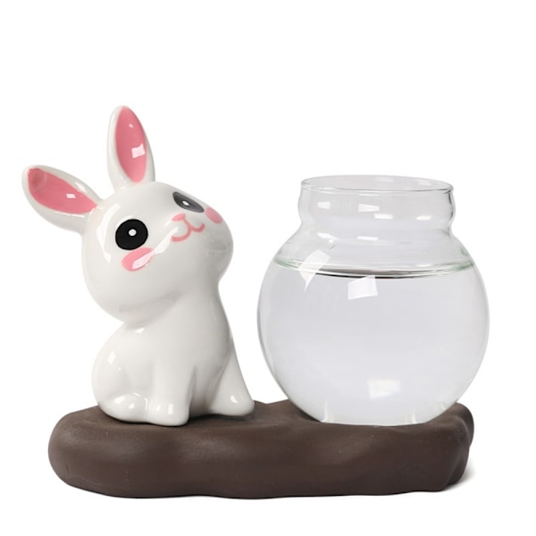 Hydroponiske plantevaser Transparent glasvase C C C