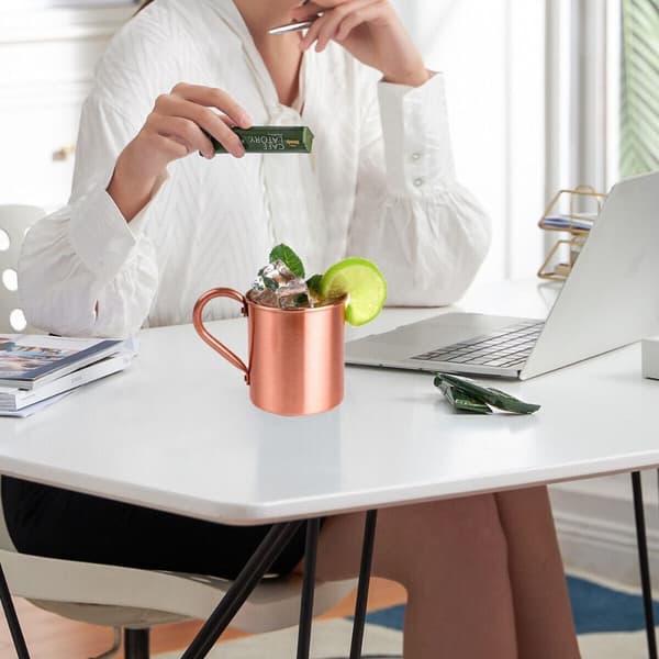 Ren Kopparkopp Mugg Moscow Mule Muggar