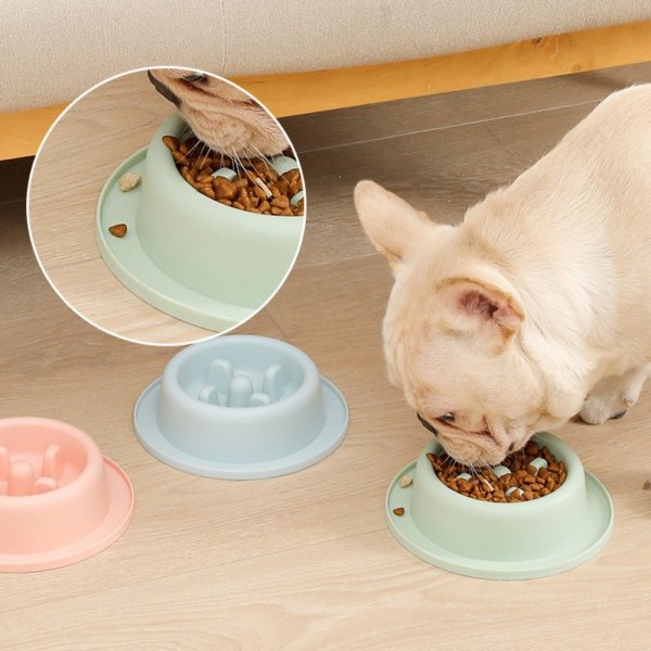 Pet Slow Food Bowl Hund Anti Suffocation Bowl BLÅ Blue