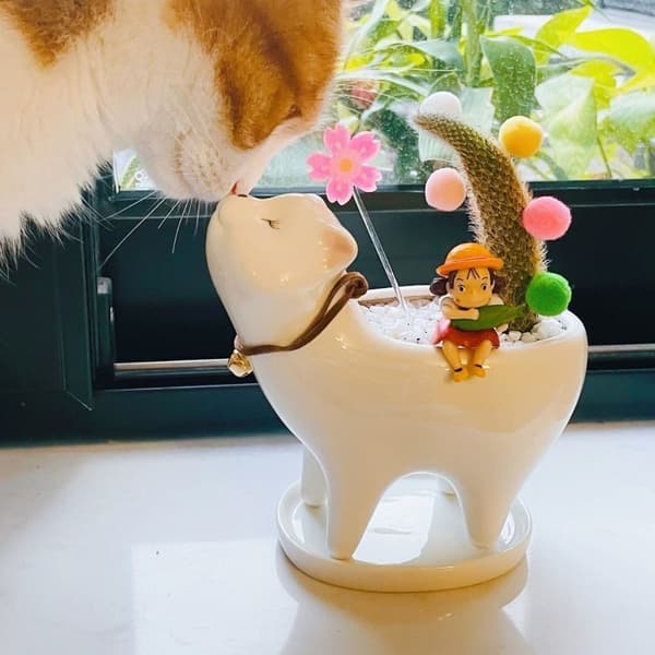 Kattformad Kruka Kattsvans Blomkruka VIT White