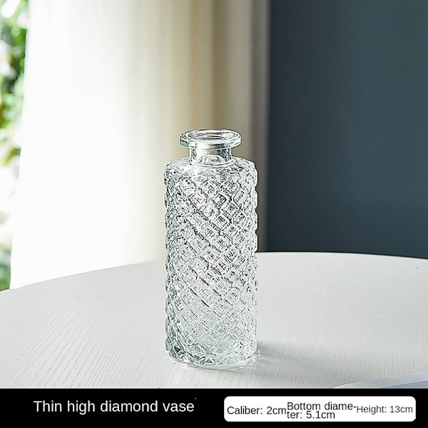 Glasvas Hydroponisk Växtvas E E E