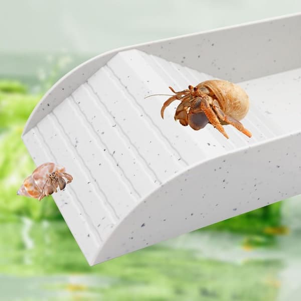Klätterleksak för eremitkräftor, habitat för eremitkräftor, vit
