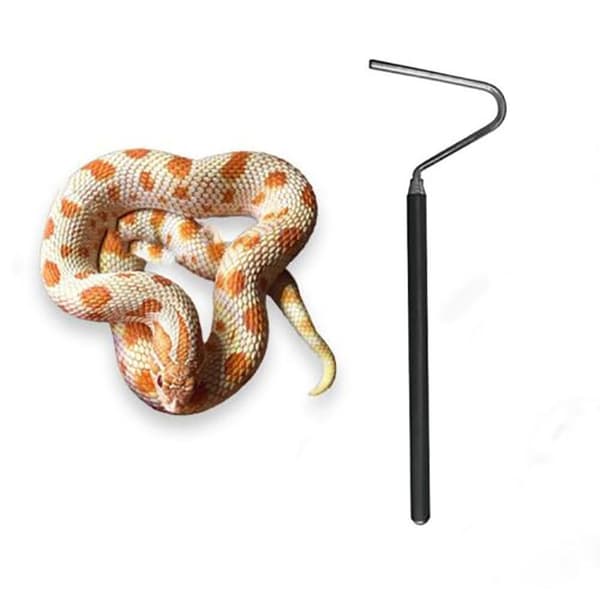 Reptilkrok Slangekrok 66CM 66cm