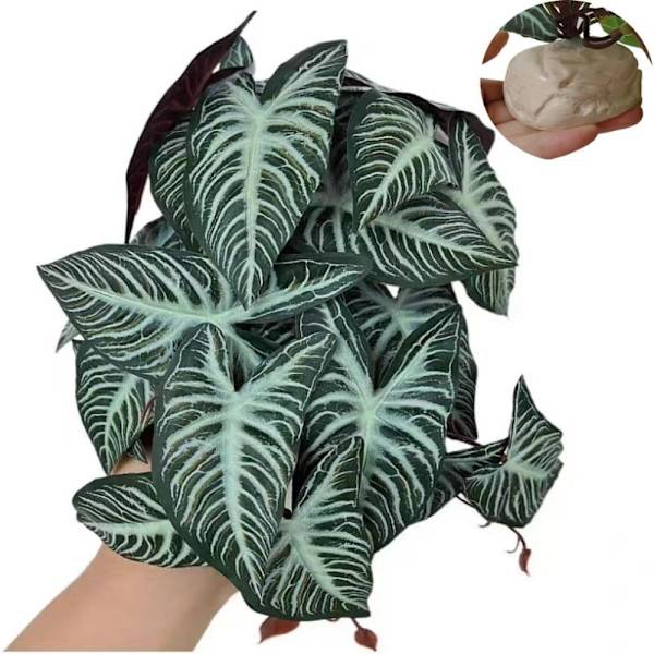 Kunstige vannplanter Fisketankplanter Reptilklatreplante Green