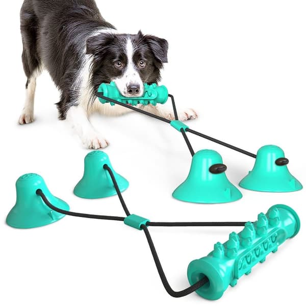 Hundleksaker Hundtuggleksaker BLÅ Blue