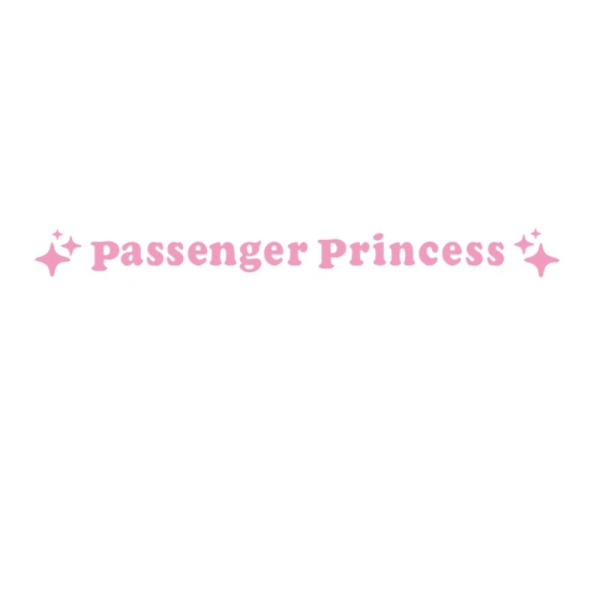 6st Passagerar Princess Stickers Brev Bil Backspegel Pink