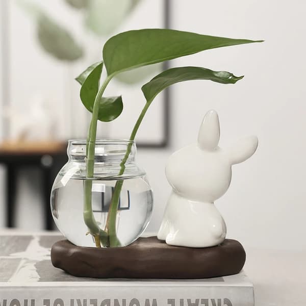 Hydroponiske Plantevaser Transparent Glassvase C C C