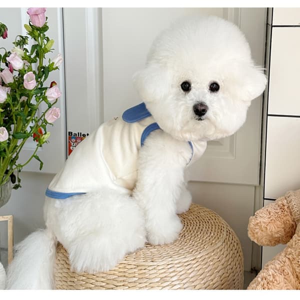 Jumpsuit Hundkläder BLÅ S blue S