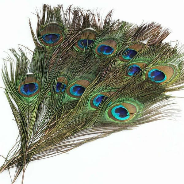 30 kpl Peacock Feather Natural Feather Tail