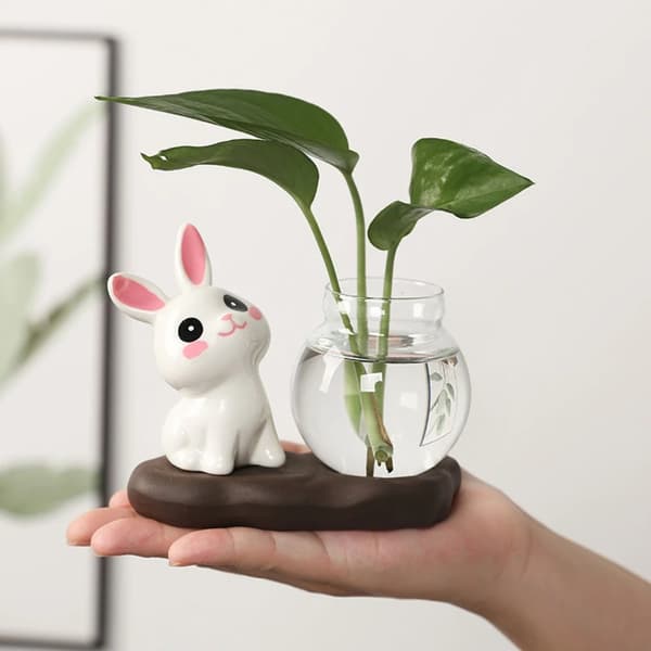 Hydroponiske Plantevaser Transparent Glassvase B B B