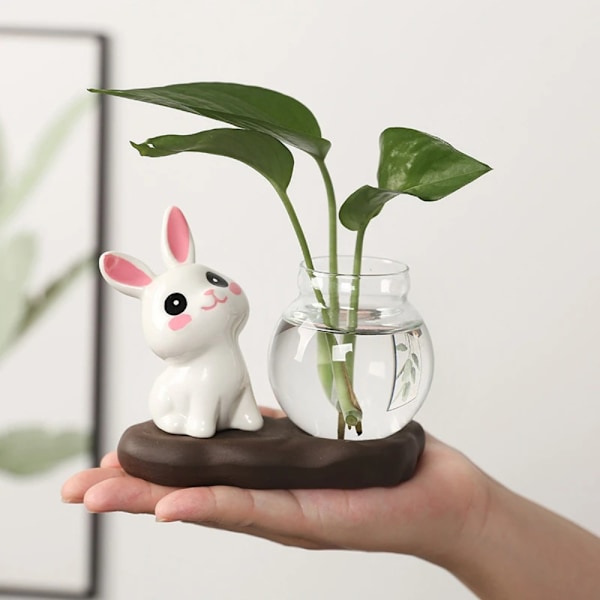 Hydroponiske plantevaser Transparent glasvase C C C