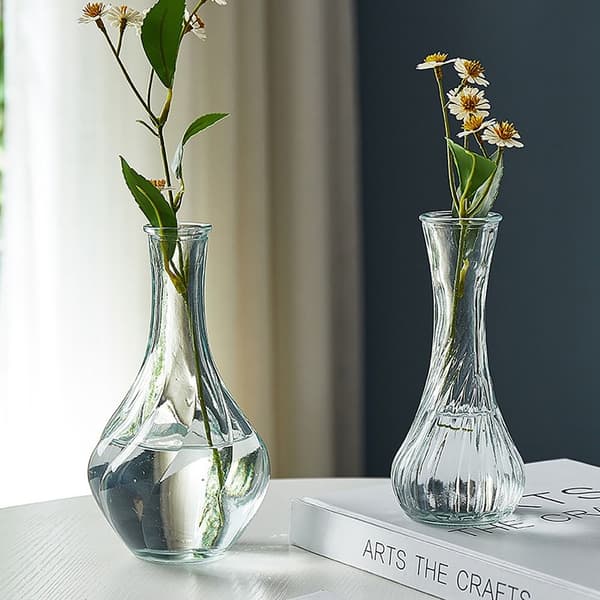 Glasvase Hydroponisk Plantevase E E E