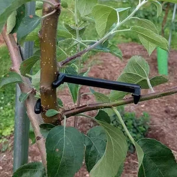 Plante Støtte Grenspreder SORT Black