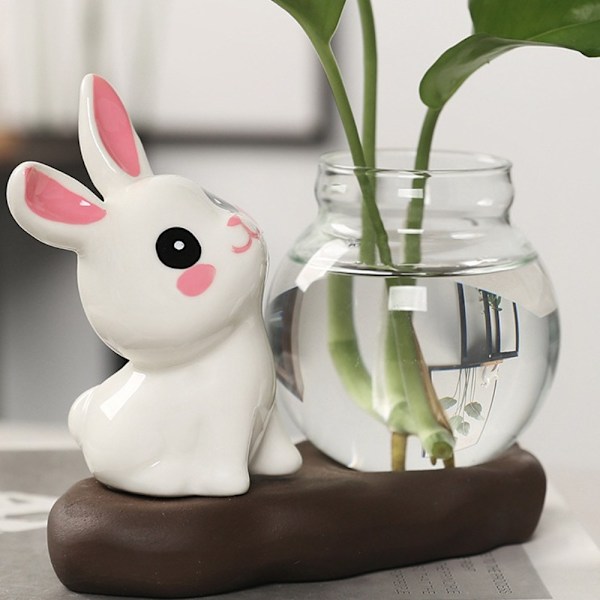 Hydroponiske plantevaser Transparent glasvase C C C