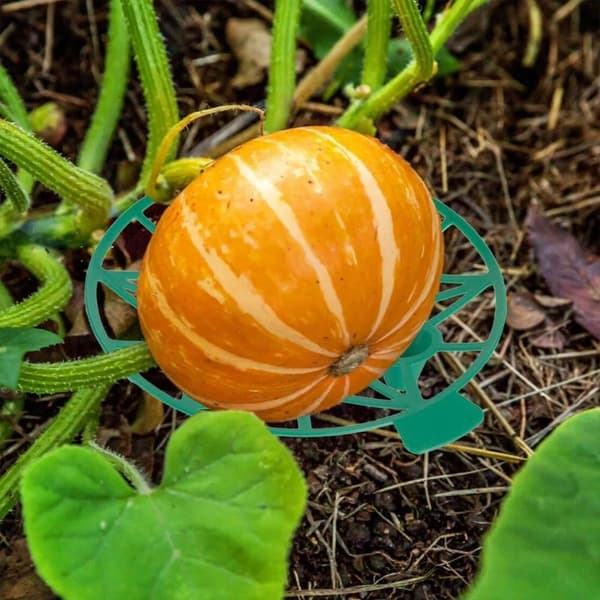 Ställning för vattenmelon, grönsaker, trädgårdsställning BLÅ Blue