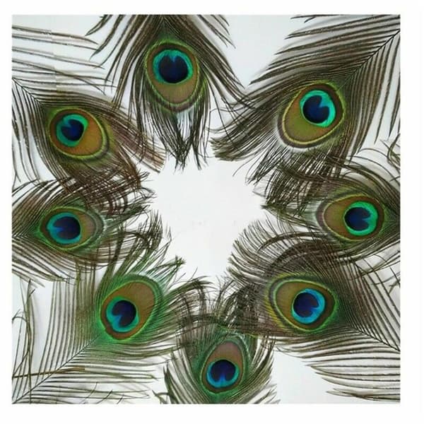 30 kpl Peacock Feather Natural Feather Tail