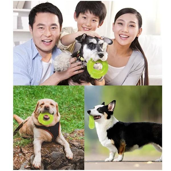 Puppy Chew Toys Stimulerande Pussel Toy Green