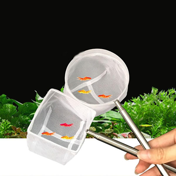 Goldfish Net Telescopic Shrimp Net LSQUARE SQUARE LSquare