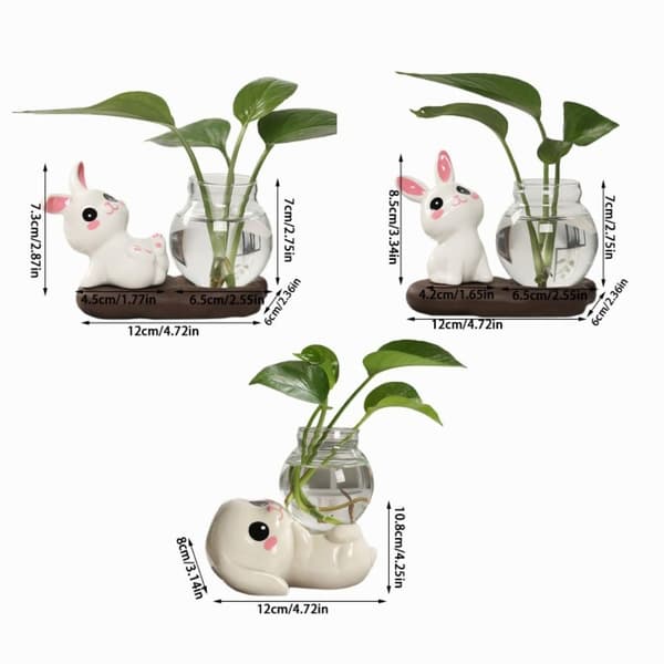 Hydroponiske Plantevaser Transparent Glassvase C C C