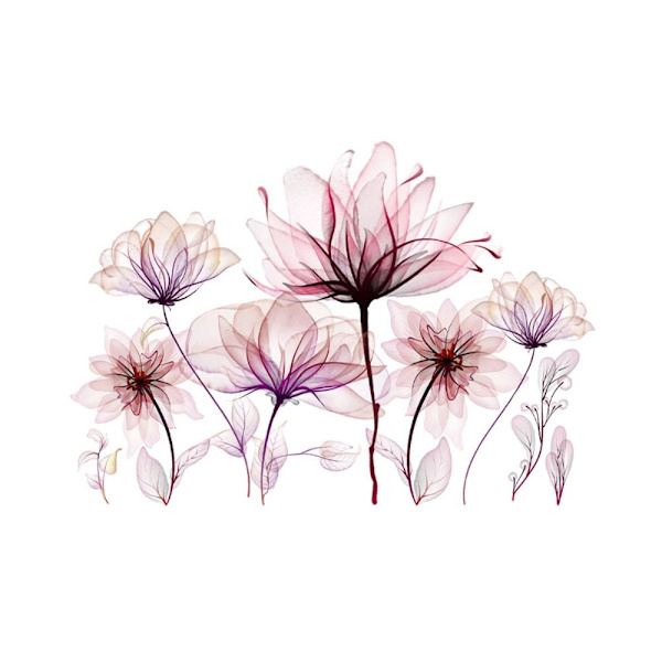 Blommiga toalettdekaler Underbara blomdekaler 1 1 1