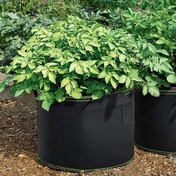 1/3/5/7/10 Gallon Have Plantepose Grow Bag 35x28cm01-7Gallon