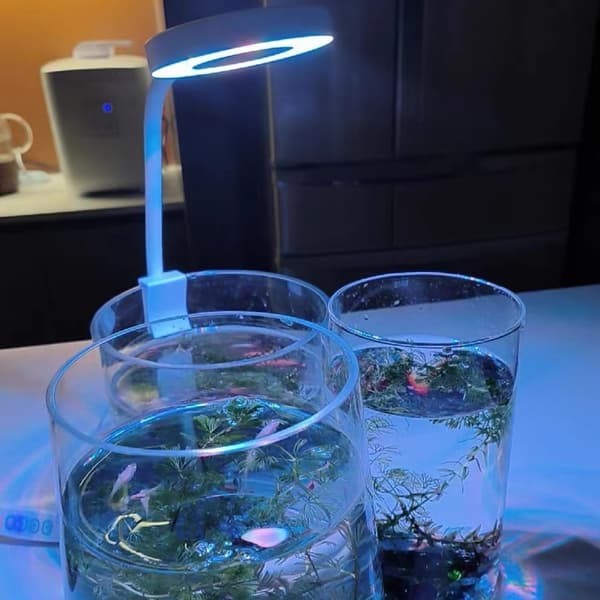 Akvaario LED-valo