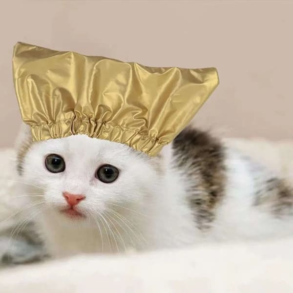 Kæledyrsbadehætte Kat Vandtæt Badehætte SØLV S Silver S